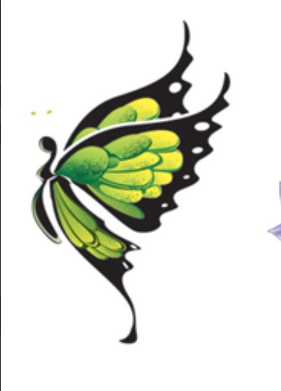 Butterflies & Blooms Temporary Tattoo Collection (300pcs)