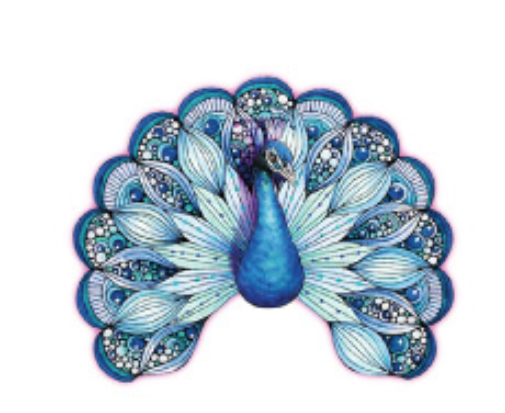 Vivid Visions Temporay Tattoos