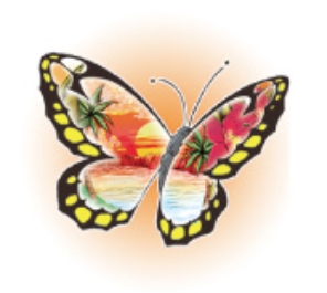 Enchanted Ink Temporary Tattoos