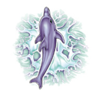 Enchanted Ink Temporary Tattoos