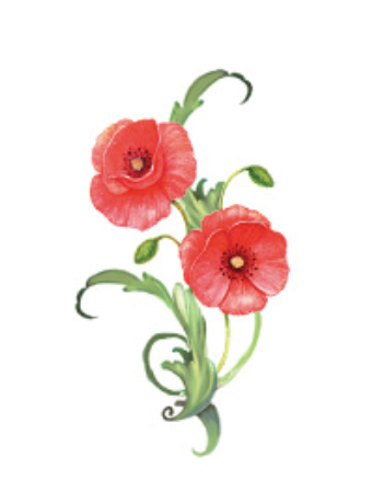 Wildflower Whispers Temporary Tattoos