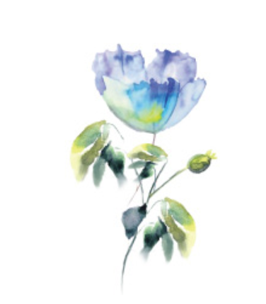 Wildflower Whispers Temporary Tattoos