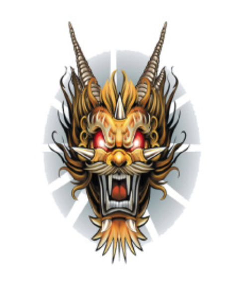 Dragon's Fury Temporary Tattoos