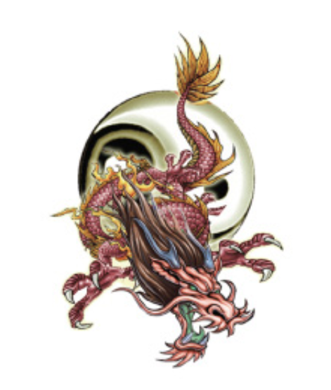 Dragon's Fury Temporary Tattoos