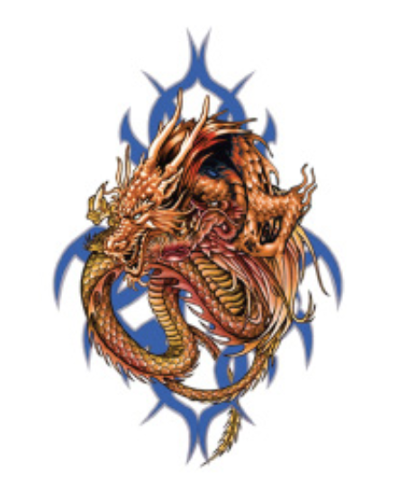 Dragon's Fury Temporary Tattoos