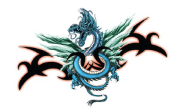 Dragon's Fury Temporary Tattoos