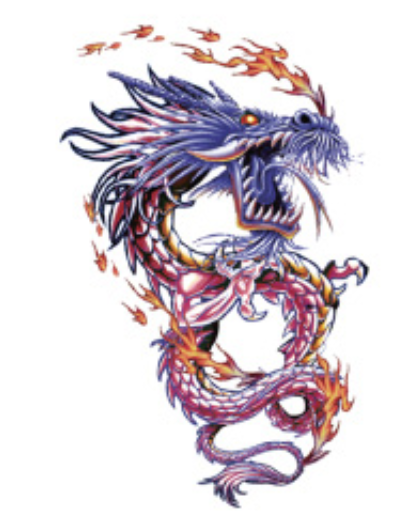 Dragon's Fury Temporary Tattoos
