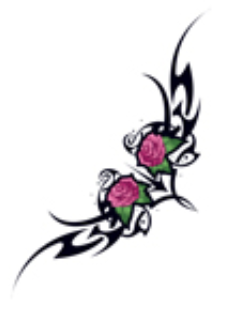 Summer Dreams Temporary Tattoos