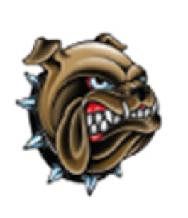 Ink & Edge Temporary Tattoos