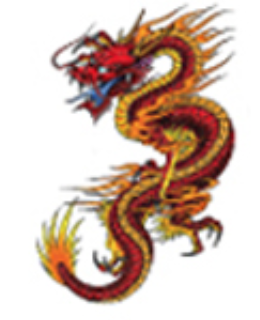 Ink & Edge Temporary Tattoos