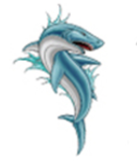 Ink & Edge Temporary Tattoos