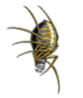 Ink & Edge Temporary Tattoos