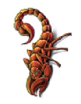 Ink & Edge Temporary Tattoos