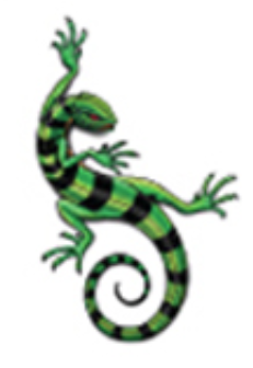 Ink & Edge Temporary Tattoos