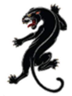 Ink & Edge Temporary Tattoos