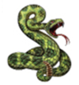 Ink & Edge Temporary Tattoos