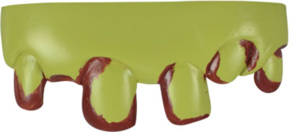 The Bite Kit Funny Teeth