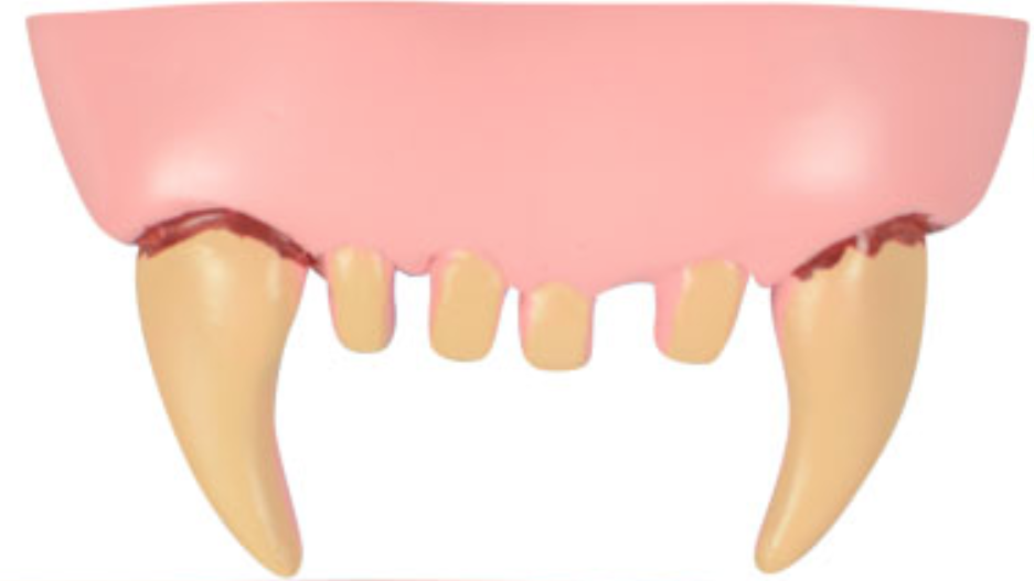 The Bite Kit Funny Teeth