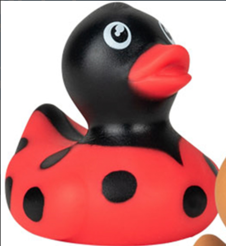 Quacky Companions Collection