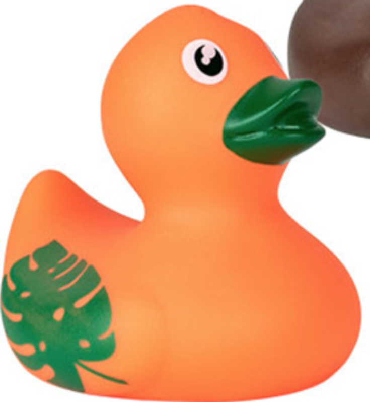 Quacky Companions Collection