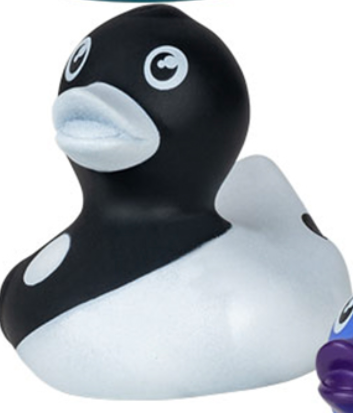 Quacky Companions Collection